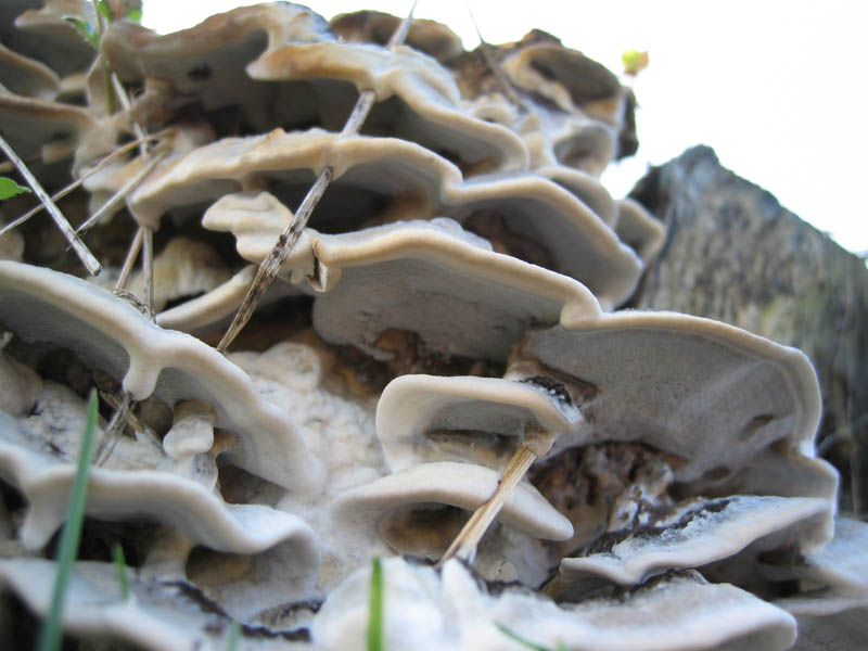 Escursione del  sabato pomeriggio